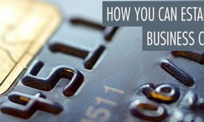 Establish business credit